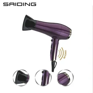 Hot Selling 2200W Ionic induction Function Concentrator Professional DC Motor induction hair dryer for Salon