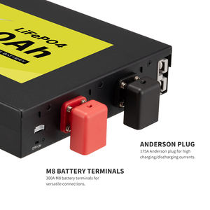 超薄轻质6,000循环12v 200ah Lifepo4锂电池内置BMS，适用于房车卡拉纳野营 - Product Image 3