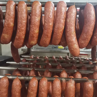 Four de fumage à gaz pour hot-dogs, générateur de fumée pour séchage de poisson-chat, chambre de fumage, four à fumer pour bacon et saucisses