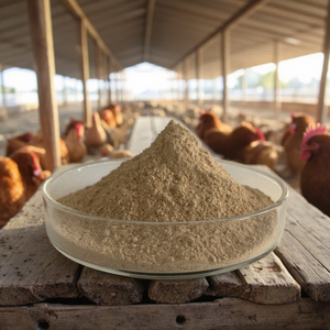 Cao cấp gia cầm premix thức ăn tăng trưởng bổ sung thức ăn lớp gà mái chất dinh dưỡng cải thiện sức khỏe đường ruột tăng cường chất lượng trứng - Product Image 6