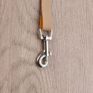 <b>Snap</b> <b>Hook</b> Zinc Alloy Pet <b>Hook</b> Diving Webbing Lifting Chain Connection Modern Simple Style - Product Image 4