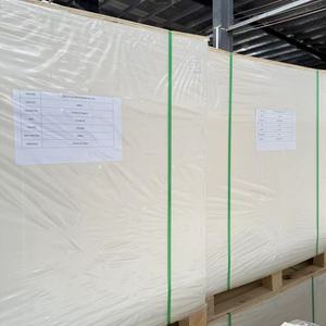วัตถุดิบกระดาษสำหรับทำแก้วกระดาษ แผ่นเคลือบ PE หนา 150-320 แกรม - Product Image 6