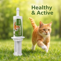 Gel Oral L-Lysine pour Chats en Gros – Soin Immunitaire et Respiratoire – Expédition Rapide en Vrac pour Magasins de Vêtements pour Animaux