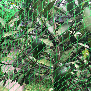 Hdpe uv ने सुपरग्रैंड SN-BN वार्प बुना हुआ पक्षी जाल/पक्षी धुंध नेट/पक्षी धुंध जाल - Product Image 3