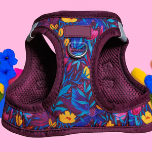 Harnais pour chien à enfiler avec imprimé floral de luxe, en toile durable, flexible, anti-traction, pour chiens et chats de taille XS à moyenne - Product Image 1