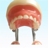 Modelo de entrenamiento Dental para niños, dientes estándar, modelo de dientes deciduos