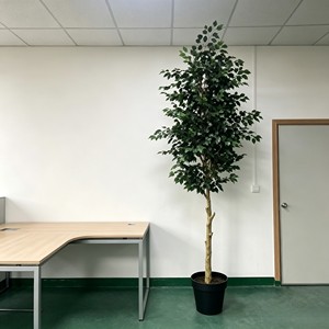 Decoración de Árbol de Banyan al por Mayor - Duradera y Reutilizable para Eventos - Product Image 5