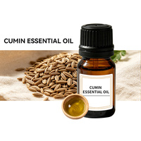 Huile de cumin (Cuminum Cyminum) en gros - Huile aromatisante naturelle à base d'aldehyde de vanille - Additif alimentaire pour assaisonnement