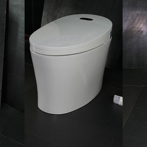 Нано-биде для умного туалета - Product Image 5