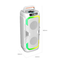 Sistem PA Nirkabel Karaoke Outdoor 12 Inch, Speaker Camping dengan Lampu LED RGB Isi Ulang, Kabinet Plastik