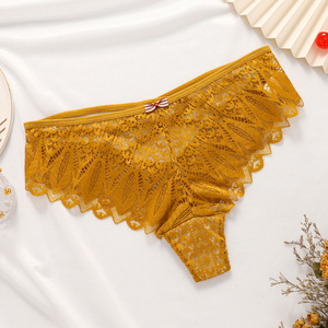 Nouvel Arrivage Lingerie Féminine Sexy Grande Taille, Culottes Brodées en Dentelle Ajourée pour Femmes et Jeunes Filles - Product Image 4