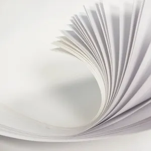 Sinosea beschichtetes Papier für Druck Kunstakarte 270 gsm Kunstplatte glattes glänzendes Kunstpapier Herstellung