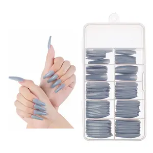 ZY0498B Real nail art Tips wholesaler nail salon professional products multi-design false nail