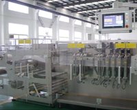 Machine d'emballage de sachets Doypack à fermeture éclair duplex DS-280DSZ, remplissage de poudre, film/sacs multifonctions de qualité alimentaire