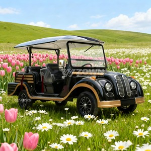 Decorative Strip Open Top Retro Electric Tour Vehicle For Resort Outdoor Shooting Service - Product Image 5