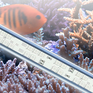 Hochleistungs-1-50-W-WLAN-Aquarienlichtleisten mit anpassbaren Programmen für die fern gesteuerte Riff haltung - Product Image 3