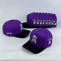 Gorra de Béisbol Vintage de 5 Paneles Personalizada con Logotipo Bordado, Lista para Venta al por Menor, para Proveedores de Regalos Personalizados