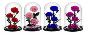 Diseños exquisitos más vendidos <span class=keywords><strong>Principito</strong></span> Tres flores preservadas Cúpula de cristal Rosa Regalo para expresar <span class=keywords><strong>amor</strong></span> - Product Image 2