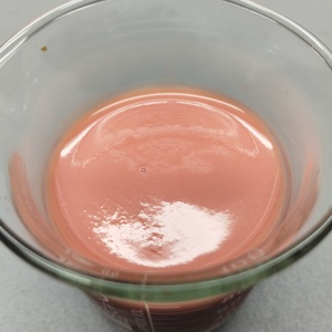 น้ำผลไม้สดรสลิ้นจี่เข้มข้น 3 กก. น้ำฝรั่งเข้มข้นบดละเอียด - Product Image 5