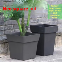 Pot de fleurs en plastique minimaliste de grande taille, à large ouverture, pour bonsaïs, manguiers et fruits du dragon – Vente en gros