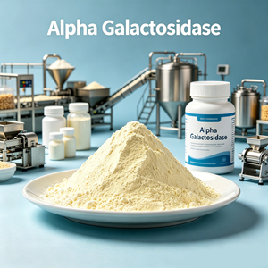 Alfa Galactosidasa de Alta Actividad, Origen Aspergillus Niger, 30000 <span class=keywords><strong>GALU</strong></span>, Grado Alimenticio, para Suplementos Digestivos y Procesamiento de Soya - Product Image 1