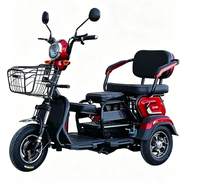 Tricycle électrique familial à 3 roues, 3 places, 60V 1000W, scooter de mobilité à carrosserie ouverte, fauteuil double pour 2 personnes âgées, 30-50 km/h, 30 km d'autonomie