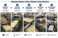 Volledig automatische productielijn voor frieten SUS304 industriële aardappelchips continue frituurlijn fabrieksprijs