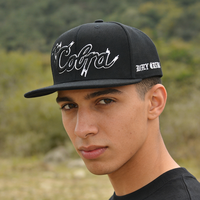 Casquette de plage et streetwear performante à 6 panneaux en sergé de coton de haute qualité, avec logo brodé 3D personnalisé OEM/ODM