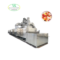 Machine de séchage à convoyeur à bande de Chine avec PLC et moteur 63,75 kW pour abricots, pruneaux, prunes, poivrons noirs