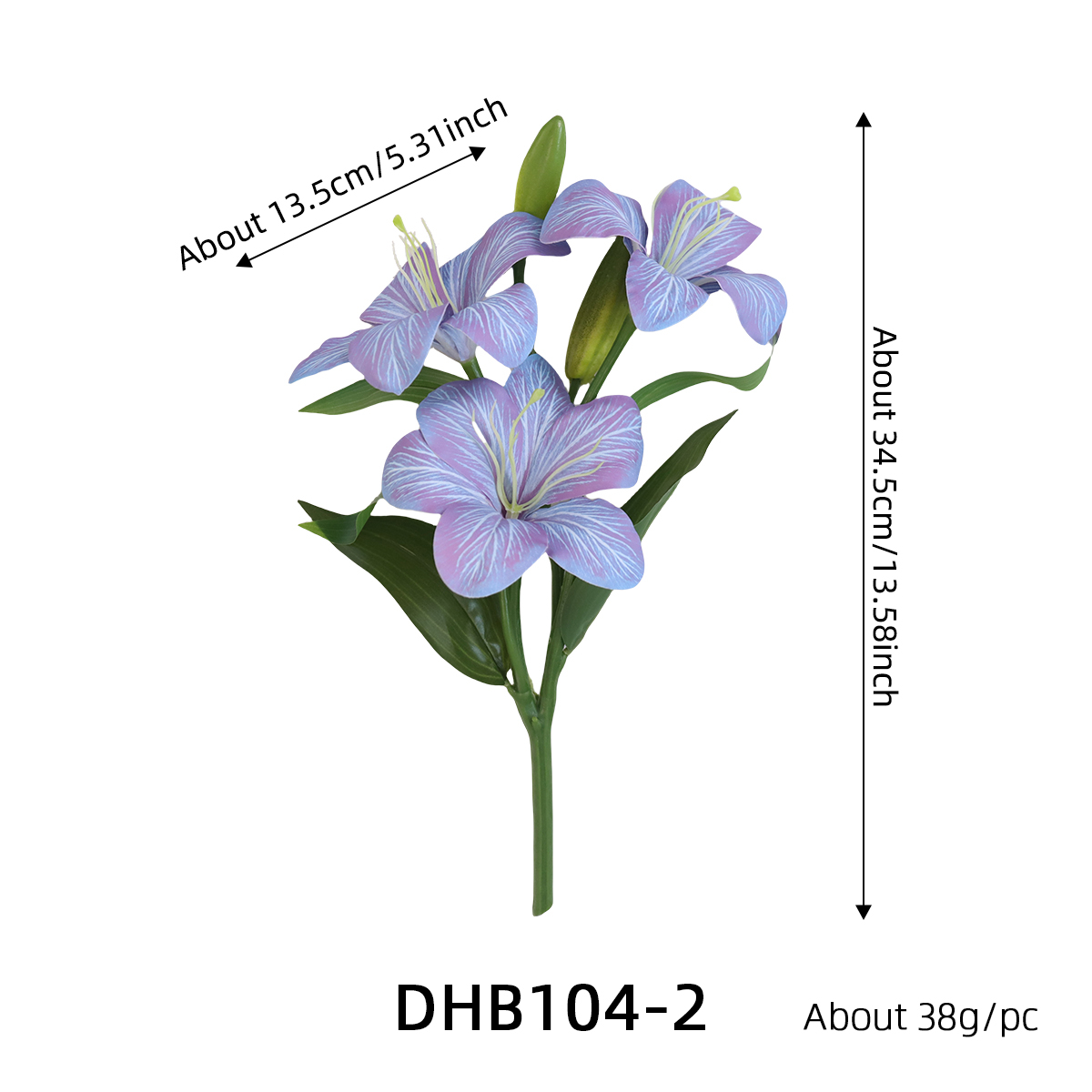 DHB104-2