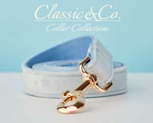 Juego de correa de collar de perro personalizado Lightblue Veet con flor y pajarita para mascota macho hembra, etiqueta de nombre grabada en oro, cachorro de boda - Product Image 5