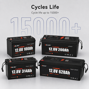 ENLZH 12V 50Ah, 100Ah, 150Ah, 200Ah, 314Ah, 320Ah, 628Ah, 640Ah LiFePO4-batterijen, 6.000 diepe cycli. - Product Image 1