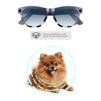 Gafas Inteligentes Fotocromáticas con IA, Cámara, Grabación de Video, Llamadas, Música, Varias Lentes, Resistentes al Agua IP63, Producto Nuevo y de Moda