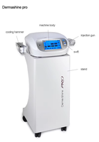 Pistolet de mésothérapie Dermashine Pro, hydratant, lifting facial, rouleau de glace pour le visage, injection sous vide, pistolet de rajeunissement cutané à 9 aiguilles