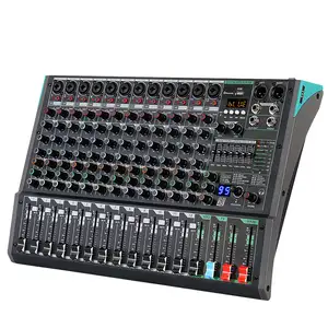 Biner PA12 Professional 12 Channel Sound Audio Console Mixer Built-in 99 DSP Effector DJ Audio Mixer