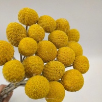 Vente en gros : Magnifiques boules dorées vintage pour la décoration intérieure, fleurs séchées naturelles pour mariage, remise de diplôme, Noël, fête des Mères