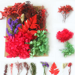 Paquete de Surtido de Flores Secas DIY, Flores y Hojas Naturales Preservadas para Joyería de Resina, Fabricación de Jabón, Diseño de Tarjetas y Decoración Boho para el <span class=keywords><strong>Hogar</strong></span> - Product Image 2