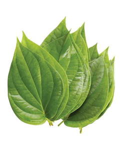 Feuilles de Bétel Entières Fraîches Naturelles Vertes pour la Cuisine Traditionnelle, les Herbes Aromatiques et l'Usage Quotidien Domestique - Product Image 2