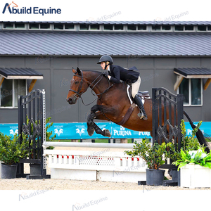 <strong>Aluminum</strong> Tubes Portable Customized Design <strong>Show</strong> <strong>Jumps</strong> for <strong>Jumps</strong> Arena - Product Image 3