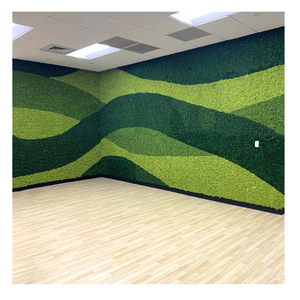 Marco de Arte de pared de musgo conservado personalizado <span class=keywords><strong>Hor</strong></span> decoración del hogar Decoración de Navidad - Product Image 6
