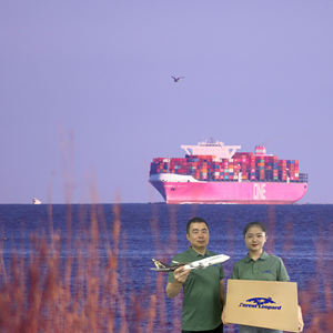 Морской морской контейнер Ddp морской транспорт Доставка экспедитор грузовой корабль Китай в США Канада Великобритания - Product Image 6