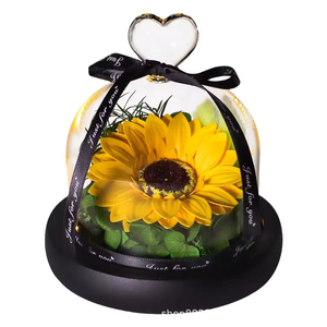 Nuovo arrivo del prodotto 2025 girasole eterno in vetro con luce a Led per il regalo di San Valentino <span class=keywords><strong>nome</strong></span> personalizzato conservato per sempre scatola di fiori - Product Image 1