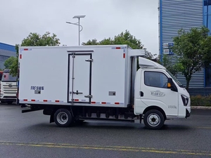 Camionnette frigorifique électrique pure <span class=keywords><strong>de</strong></span> 10 m³ très économique pour le transport <span class=keywords><strong>de</strong></span> <span class=keywords><strong>viande</strong></span> et <span class=keywords><strong>de</strong></span> poisson dans l'agriculture et l'industrie laitière - Product Image 3