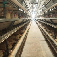 Système de cages à poules pondeuses de type H entièrement automatique, équipements d'élevage avicole galvanisés, cage à batterie pour poules pondeuses