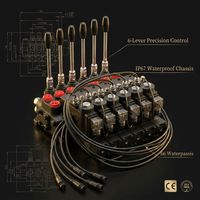 Control Remoto Inalámbrico Proporcional de 6 Canales de Alta Resistencia con Actuador de Engranajes de Acero al Carbono para Grúa Hidráulica