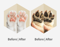 Baume hydratant naturel et biologique pour les pattes des chiens et des chats, soin des pattes sèches et gercées pour une utilisation quotidienne à la maison et en extérieur