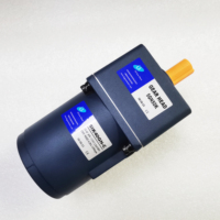 6W 15W 25W 40W 60W 90W 120W 180W 250W 110V 220V couple élevé faible vitesse moteur à induction AC