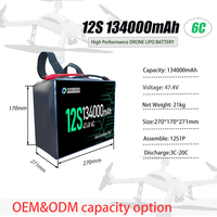 Batteries polymères et ioniques au lithium 12S à haute densité énergétique, pochettes de batteries de 94000 mAh, 134000 mAh, 88000 mAh pour FPV UAV