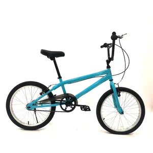 Custom LOGO freestyle sepeda bmx adult teenager 20 inch se bikes bmx