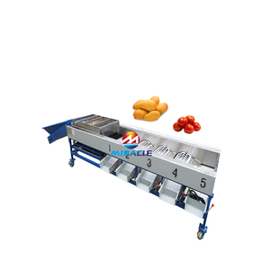 Clasificador de Naranjas por Tamaño de Alta Eficiencia con Calidad de Salida Consistente - Product Image 6